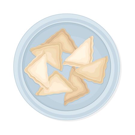 Cooked Dumplings Served on Ceramic Plate Top View Vector Illustrationのイラスト素材