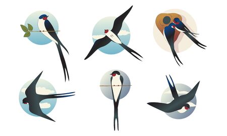 Swift Barn Swallow with Spread Wings in Flying Pose and Sitting on Tree Branch Vector Setのイラスト素材