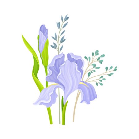 Floral Composition with Iris Flower on Green Erect Stem Vector Illustration. Botanical Floristic Arrangement Conceptのイラスト素材