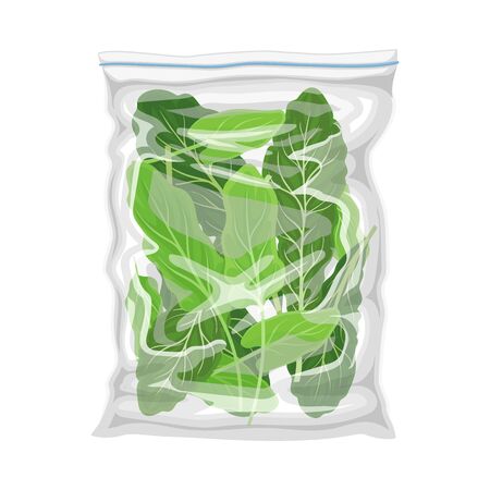 Frozen Greenery Stored in Plastic Package Vector Illustrationのイラスト素材