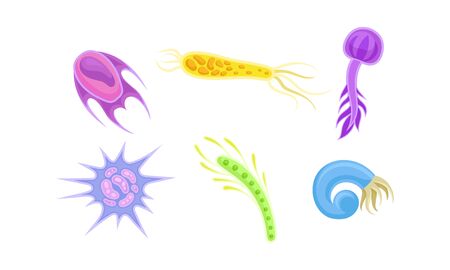 Bacteria and Germs of Different Shapes Isolated on White Background Vector Setのイラスト素材
