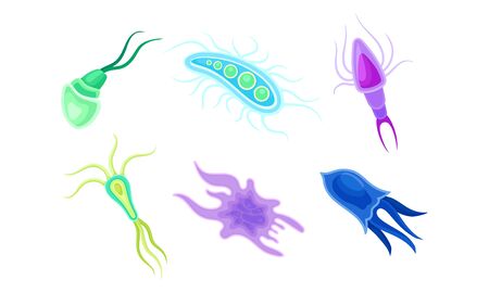 Bacteria and Germs of Different Shapes Isolated on White Background Vector Setのイラスト素材