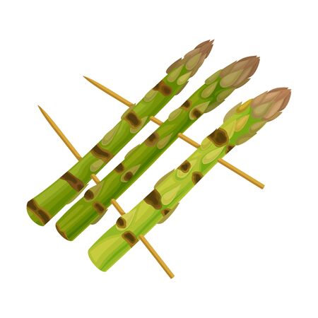 Grilled Skewered Asparagus with Strips Isolated on White Background Vector Illustrationのイラスト素材