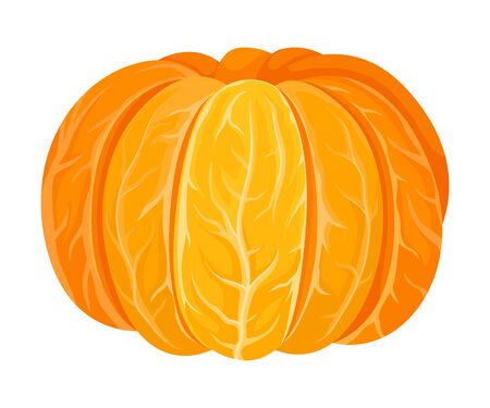 Fresh Whole and Peeled Mandarin or Tangerine Fruit Isolated on White Background Vector Illustrationのイラスト素材