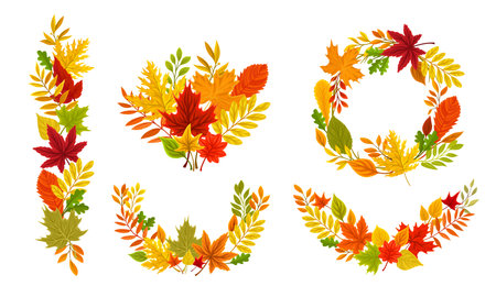 Autumn Foliage Arranged in Frames and Shaped Compositions Vector Setのイラスト素材