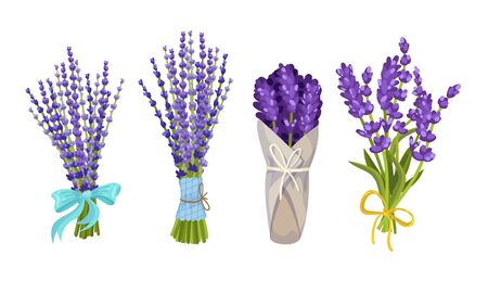 Lavender Floral Twigs Tied with Ribbon in Bunches and Wrapped in Paper Vector Setのイラスト素材