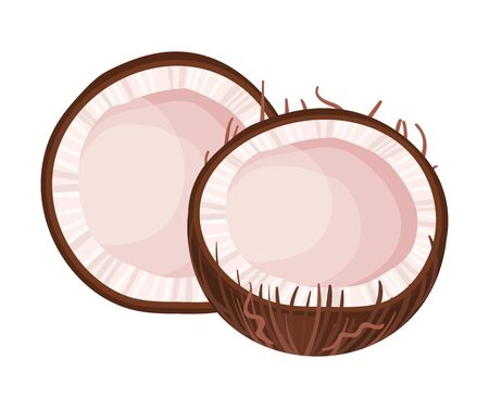 Halved Coconut with Hard Shell and Fibrous Husk Showing White Inner Flesh Vector Illustration. Exotic Palm Tree Fruit as Food and Cosmetics Ingredientのイラスト素材