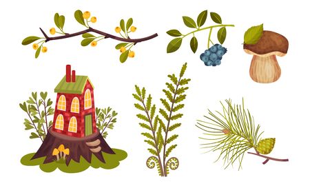 Forest Fairy House and Botany with Mushroom and Branch with Fir Cone Vector Setのイラスト素材