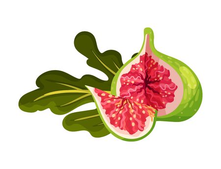 Fig Fruit with Cutout Section Showing Bright Flesh with Small Seeds Inside Vector Illustration. Ripe Sweet Organic Food for Jam Preparation and Raw Vitaminic Eatingのイラスト素材