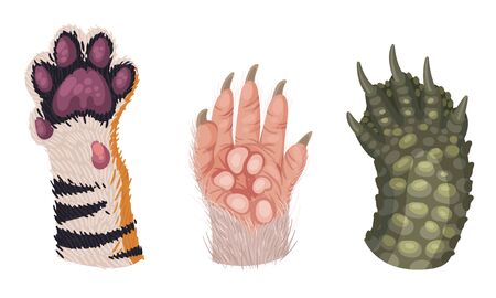 Animal Paws with Claws and Hair Isolated on White Background Vector Setのイラスト素材