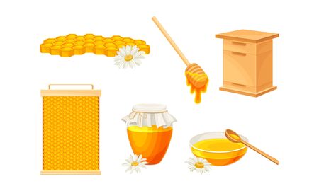 Honey omb with Hexagonal Wax Cells and Glass Jar Poured with Honey Vector Setのイラスト素材