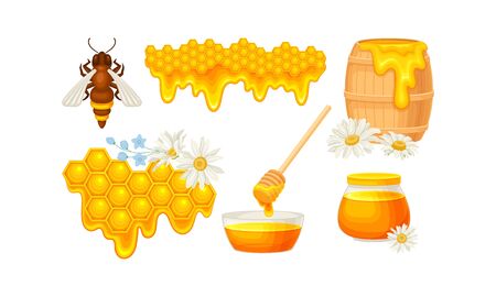 Honey omb with Hexagonal Wax Cells and Glass Jar Poured with Honey Vector Setのイラスト素材