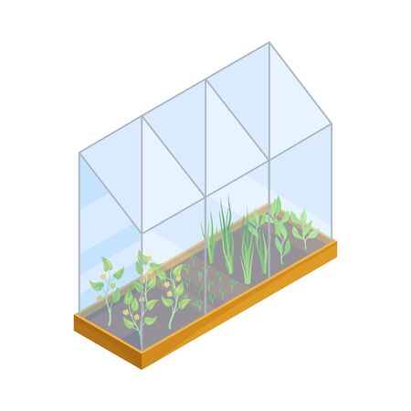 Agricultural Crops or Vegetables Growing on Germination Bed Vector Isometric Illustrationのイラスト素材