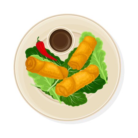 Thai Dish with Fried Stuffed Rolls Served on Green Leaves with Sauce Vector Illustrationのイラスト素材