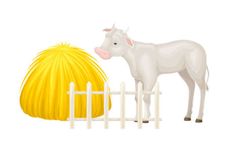 Cow Calf Grazing on Pasture with Haystack Vector Illustrationのイラスト素材