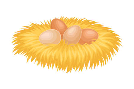 Brown Hen Eggs Rested in Hay Nest Vector Illustrationのイラスト素材