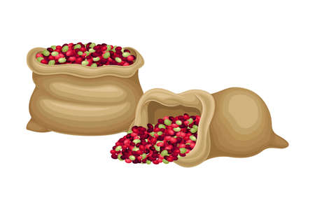 Ripe Edible Coffea Plant Fruits Poured in Sack Vector Illustration. Commodity Crop Harvesting for Coffee Drink Productionのイラスト素材