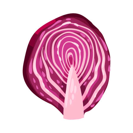 Red Cabbage or Cole as Raw Salad Ingredient Illustrationのイラスト素材