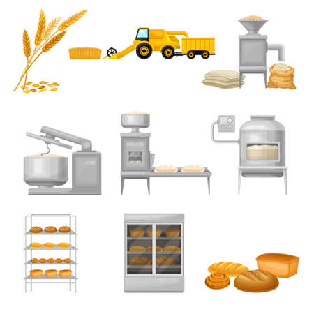 Bread Production from Grain Crop Harvesting to Grinding and Baking Vector Illustration Setのイラスト素材