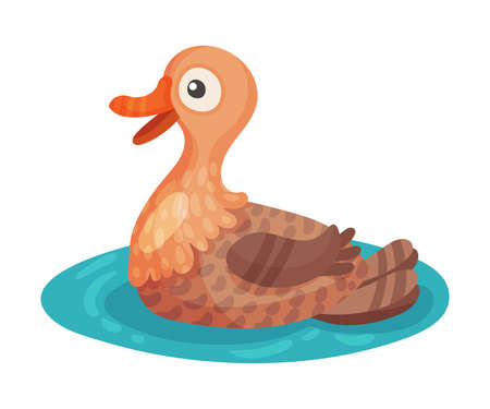 Feathered Duck as Farm Bird Swimming in Pond Vector Illustrationのイラスト素材