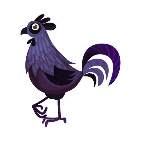 Feathered Rooster with Tail as Farm Bird Vector Illustrationのイラスト素材