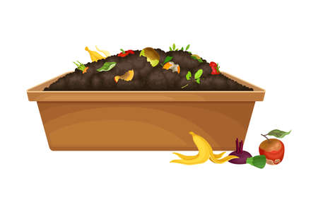 Rotten Fruit and Vegetables Piled in Wooden Crate as Organic Fertilizer for Soil and Plant Growth Vector Illustrationのイラスト素材