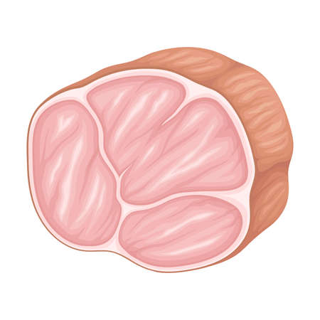 Beef or Pork Slab as Meat Product Vector Illustrationのイラスト素材