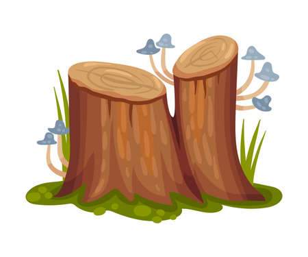 Wooden Stump with Mushrooms Growing on It as Forest Element Vector Illustrationのイラスト素材