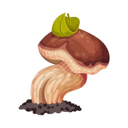 Mushroom with Cap and Stem as Forest Element Vector Illustrationのイラスト素材