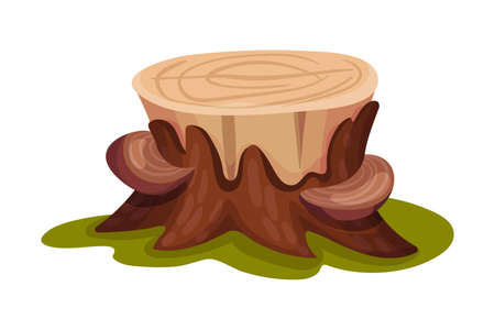 Wooden Stump with Mushrooms Growing on It as Forest Element Vector Illustrationのイラスト素材