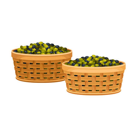 Olives in Basket as Fruit Harvesting for Industrial Oil Production Vector Illustrationのイラスト素材