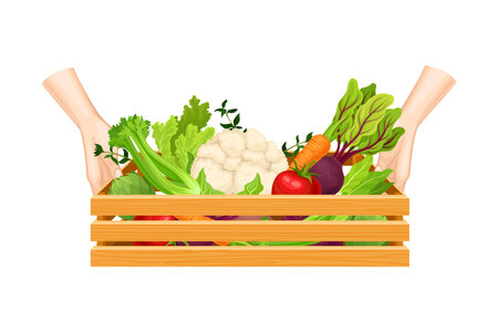 Hands Holding Wooden Crate with Different Vegetables Vector Illustrationのイラスト素材