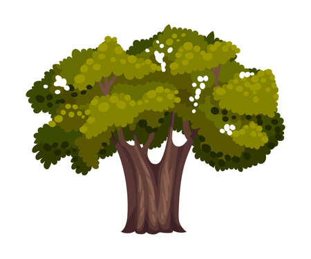 Tree with Exuberant Green Foliage and Trunk Vector Illustrationのイラスト素材