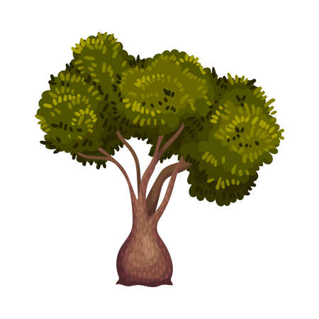 Green Tree as Perennial Plant with Trunk, Branches and Leaves Vector Illustrationのイラスト素材