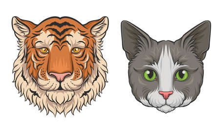 Cat and Tiger Muzzle with Fur Vector Setのイラスト素材