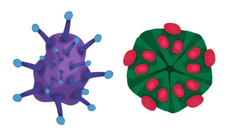 Virus and Microbes of Different Shape with Flagella Vector Setのイラスト素材