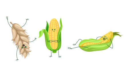 Humanized Ears of Wheat Somersaulting and Corncob Yawning Vector Setのイラスト素材