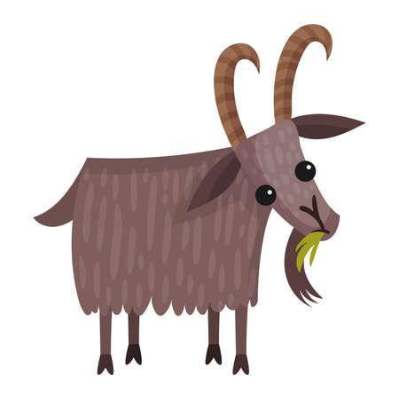 Goat as Farm Animal with Horns Vector Illustrationのイラスト素材