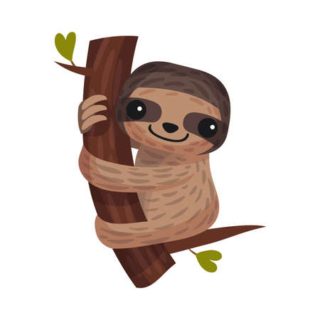 Arboreal Sloth Hugging Tree Branch as African Animal Vector Illustrationのイラスト素材