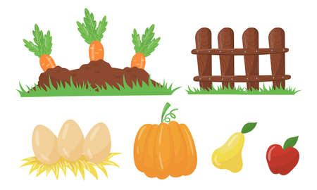 Carrot Growing on Vegetable Patch and Eggs on Straw Setのイラスト素材