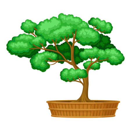 Green Bonsai Tree as Potted Plant with Lush Crown Vector Illustrationのイラスト素材