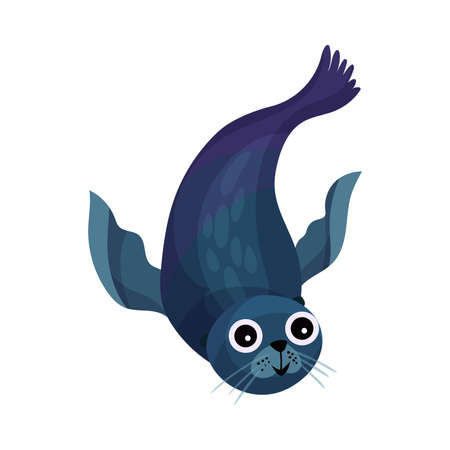 Funny Sea Calf or Seal as Marine Animal Vector Illustrationのイラスト素材