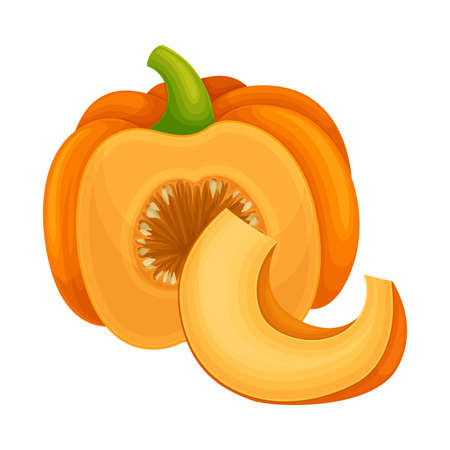 Round Pumpkin with Cut Section Showing Seeds and Pulp Vector Illustrationのイラスト素材