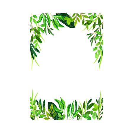 Rectangular Shaped Frame with Green Leaves or Foliage Vector Illustrationのイラスト素材