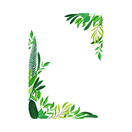 Frame Corners with Green Leaves or Foliage Vector Illustrationのイラスト素材