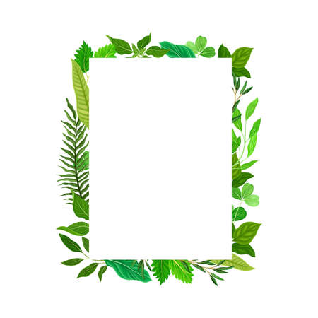 Rectangular Shaped Frame with Green Leaves or Foliage Vector Illustrationのイラスト素材