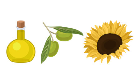Olive and Sunflower Organic Vegetable Oil in Glass Jars Vector Setのイラスト素材
