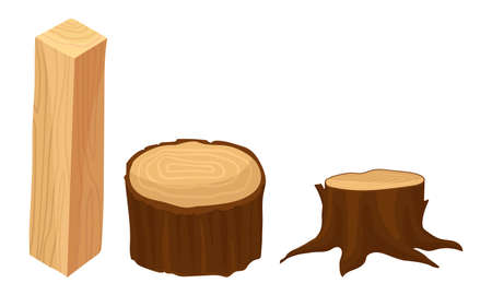 Stub and Sided Timber as Material for Carpentry Vector Setのイラスト素材