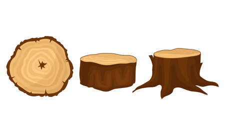 Stub and Cross Section Timber as Material for Carpentry Vector Setのイラスト素材