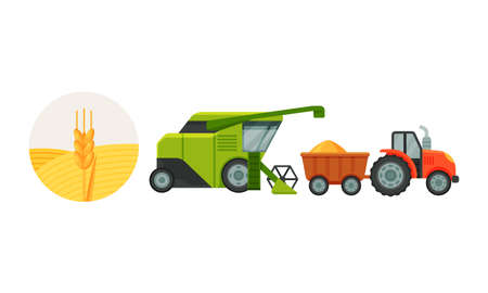 Combine Reaping and Harvesting Grain Crops from Field for Bread Production Vector Setのイラスト素材